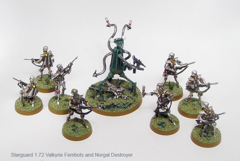 Valkyrie Fembots and Norgal Destroyer